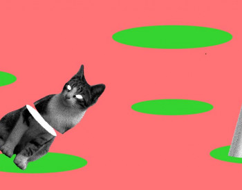 Nuovo o vecchio non conta. L'innovazione è osmosi continua