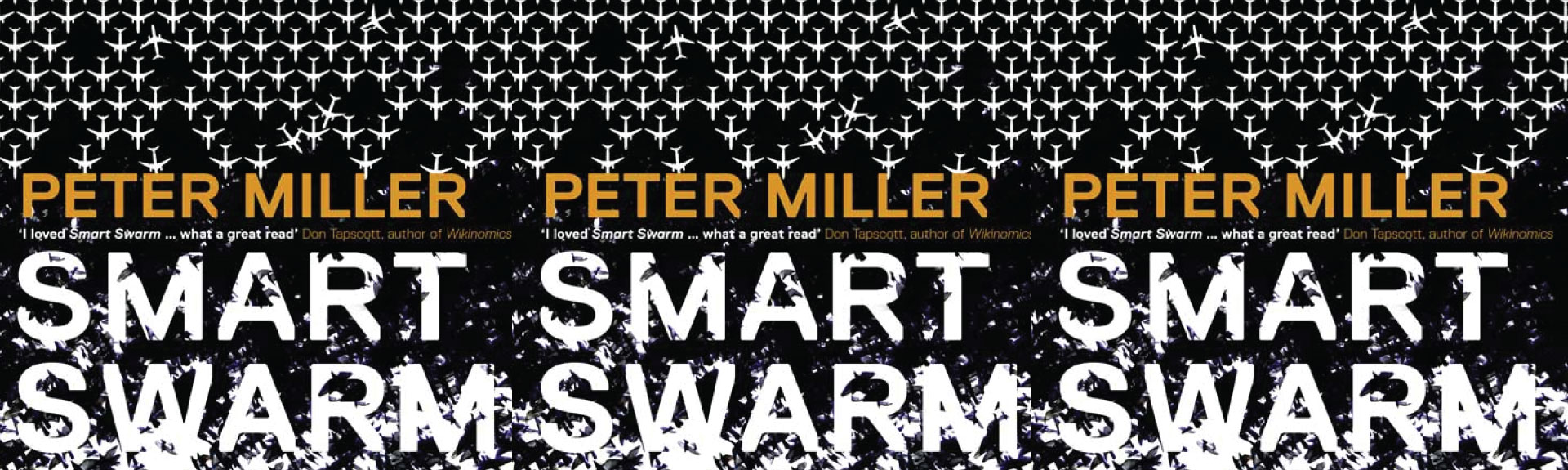 WeBooks #3: Smart Swarm